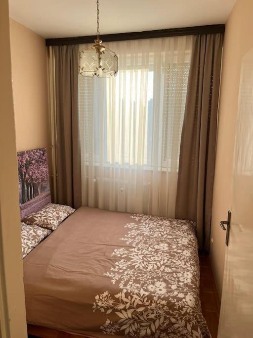 Shesh Hostel Pristina Buitenkant foto